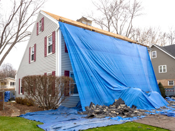 Best Siding Painting and Refinishing  in Northport, AL