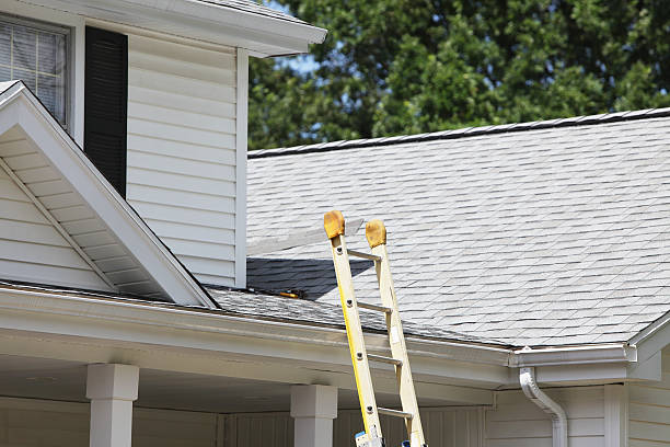 Best Composite Siding  in Northport, AL